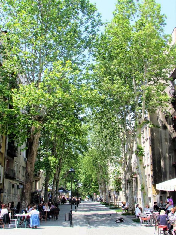 Skadarlija City Break Belgrad Exteriör bild